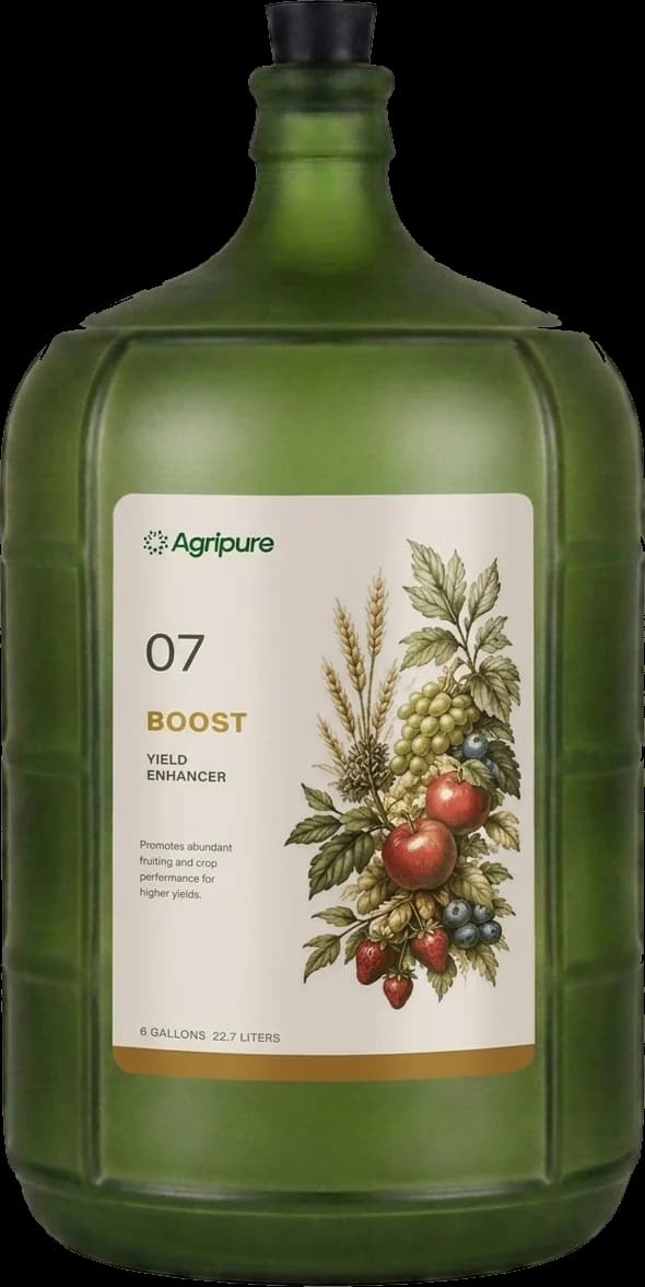 Boost
