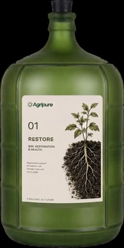 Restore