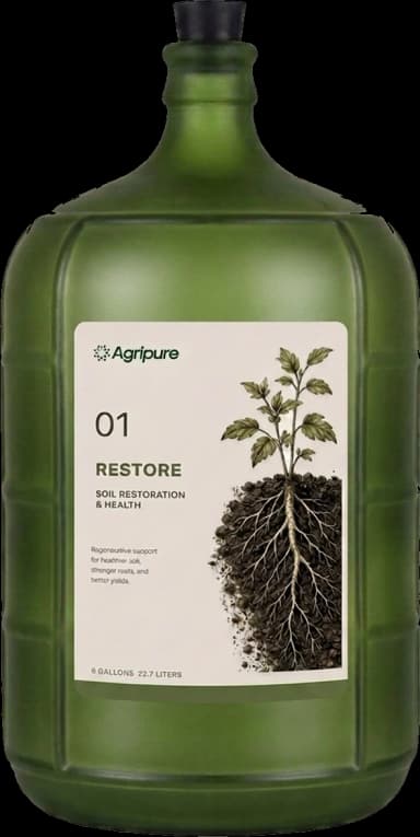 Restore