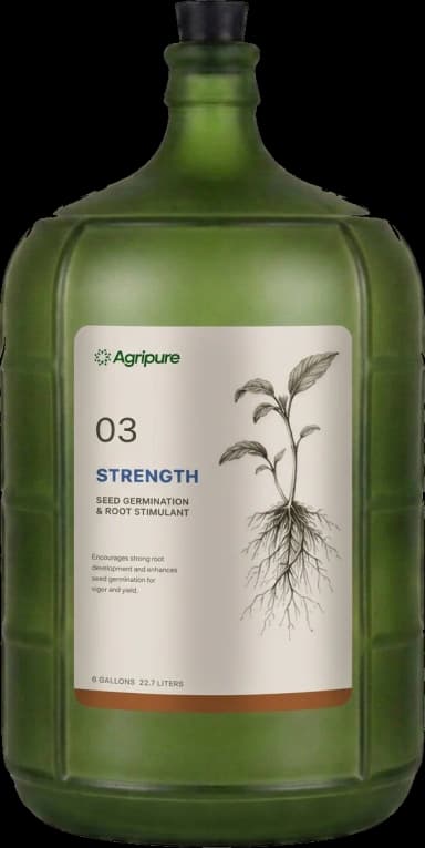 Strength