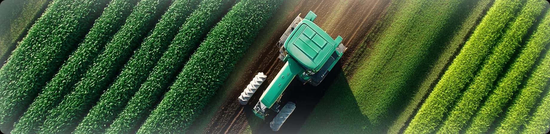 Sustainable agriculture field